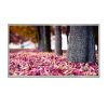32寸TFT液晶屏1920*1080IPS高清LVDS接口1000亮度
